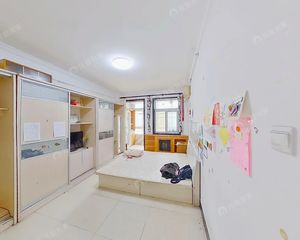 西城白纸坊 · 滨河里 · 南北向,两居室,中间楼层