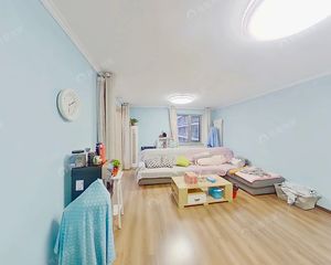 西红门东板块 近未来19号线 林枫家园 客厅朝南 大三居!