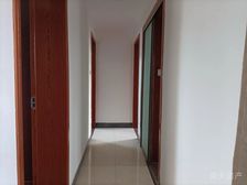 白云二村3室2厅1卫南朝向115.0万元/套出售