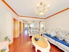 自住装修,保养好,全亮间,南北通