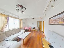 徐汇内环,万体馆旁 99年建 ,健身楼层,南北通 边套全明