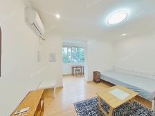 高安(徐汇一梯队)小区梧桐树环绕+小区环璄非常的美