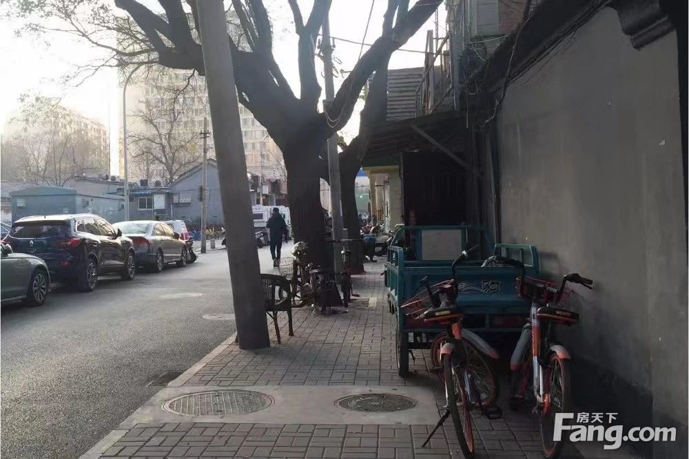 实景图