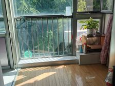 青塔电梯板楼里的南北110.08平450万元 不