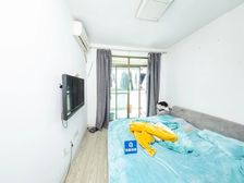 新上笋盘 电梯高层 美景一览无遗 采光不在话下 满五only