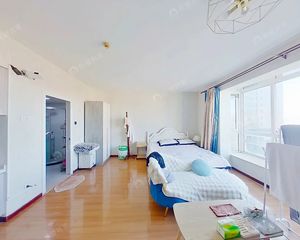 劲松·富顿中心·1室·0厅