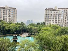 棕榈泉三期大平层楼W 精装修 朝中庭视野