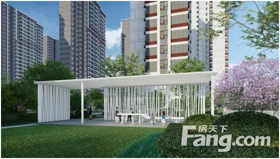 实景图