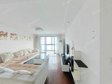 徐汇区四轨交汇商品房,南北通透飞机大三房,看房方便