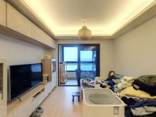 精装修装双气2房 万科青藤公园 楼层送家电 送车位480万板