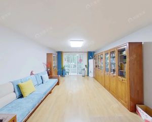 西城陶白 供电局家属院 经典方正大三居