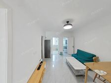 人民路五号,化工南园,jing装,看房有钥匙,市实验小