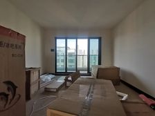 礼嘉龙湖天街旁 电梯独立入户 品质小区 全玻璃幕墙 必看保真