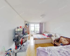 三环里 万柳园 南北通透一居室 户型方正 高楼层 采光好