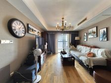 新上高楼层 视野好 金鸡湖都市景观 诚售好房