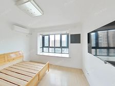 次新小区,精致一室,星中路站,楼层好,精装修小两房