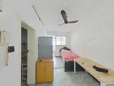 新上!刚需的福音,南北厅直通,户型超正气,看房可随时