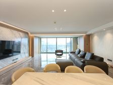 南岸区 长嘉汇朗峯南区 四房 500万