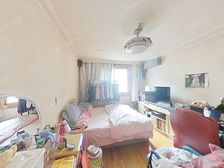 新出 菊园洋泾 双南大两房 靠近19号线 业主诚售 非顶楼