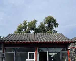 大椿天 菜市口沃尔玛旁 红线胡同 私产平房 两证齐全