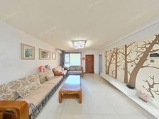 良乡·西兰岛·2室·1厅