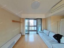 新出好房,电梯高区在家看陆家嘴三件套!有产权车位,边户南北通