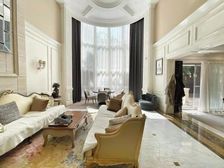 中环边,独栋大别墅,占地1.5亩,豪华装修,急售