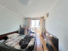 新上电梯 南北全明两房 安静不吵闹 DU家委托