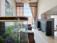 精装修当清水,顶跃洋房,业主急售,