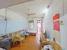 沈塘新村 单价低 总价低 小两房 中间楼层 地铁口 诚心卖