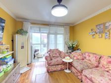 虹梅新苑 简单装修装3室 采光好 随时看房 既买即赚