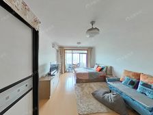 新上 朝南一室户 高区 采光佳 视野好 诚心出售 看房随时