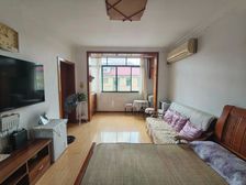 吴泾 交通便捷 精装好房 满五 商品住宅 南北通透