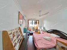 南北两房,户型好,低总价小两房,凤凰楼层