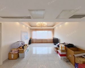 大西洋新城B区,南北板楼,电梯复式,前后平台。单价5万多