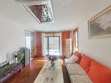 商品好房+双轨交通+不靠路+采光好