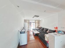 金华苑 晋元书包 采光刺眼 电梯房 房东很熟诚意出售