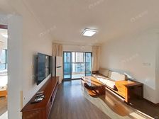 店长+北看三件套+轨交300米+南北通飞机双南户型