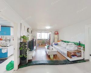 北 大地·永善里小区 商品房 满五 电梯中间层