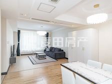 圣世一品1室1厅精装修