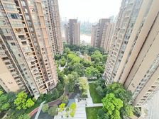 南滨路看江房源推荐长嘉汇。看大剧院 夜景248万 保真!