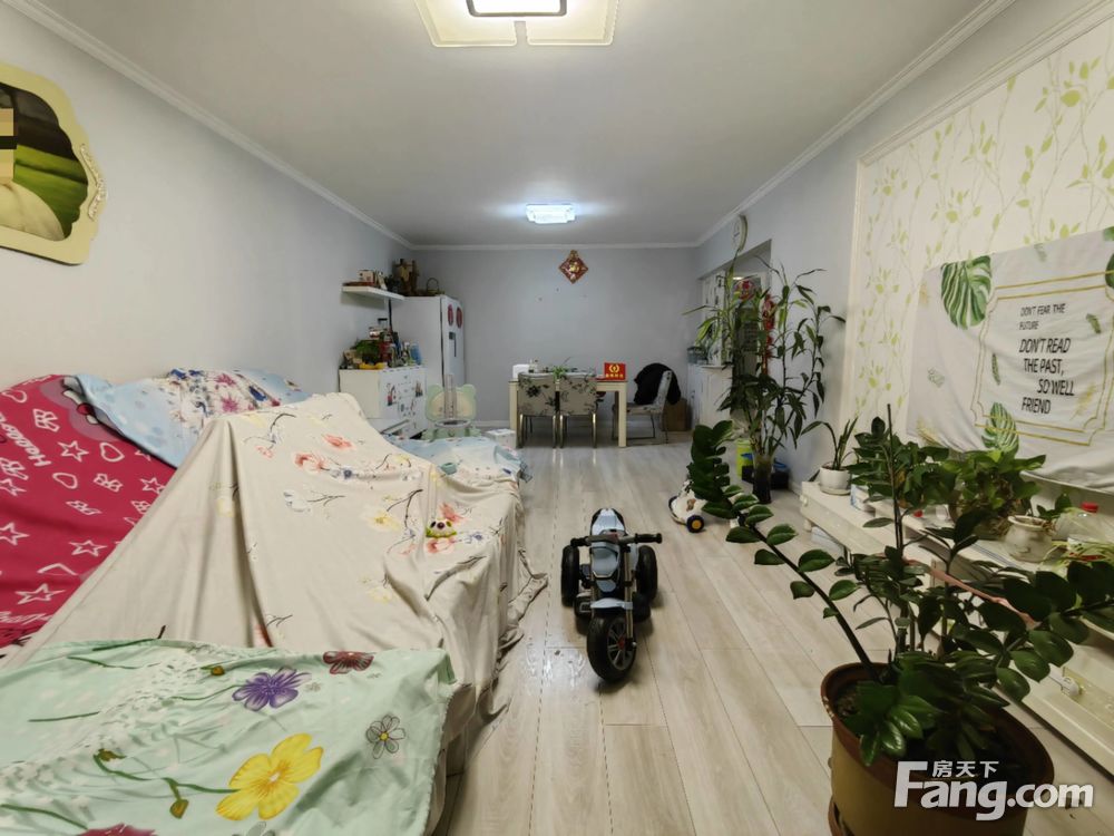 室内图