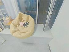 新上,机场路28,偏门,钟强小区,翠薇雅居,和平庄园