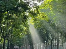 淞宝淞兴西路南向一居室 高层采光佳 满五住宅80万