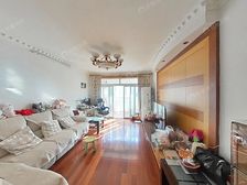 2001年商品房,客厅南北通,低总价两房两厅,上绿苑,采光好