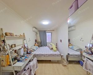 朝阳公园南门 甜水园 六里屯东里低总价南北通透三居 采光好