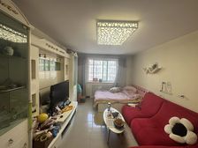 南北通透沿湖南区1室1厅精装修