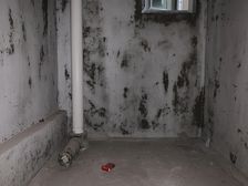 大渡口 绿地城二房 28万