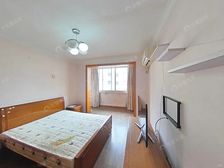 新挂牌:电梯房中间楼层视野好1室1厅户型看房提前约