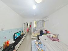 三林·永泰花苑·1室·1厅